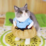 Funny Suit Clothes For Cat