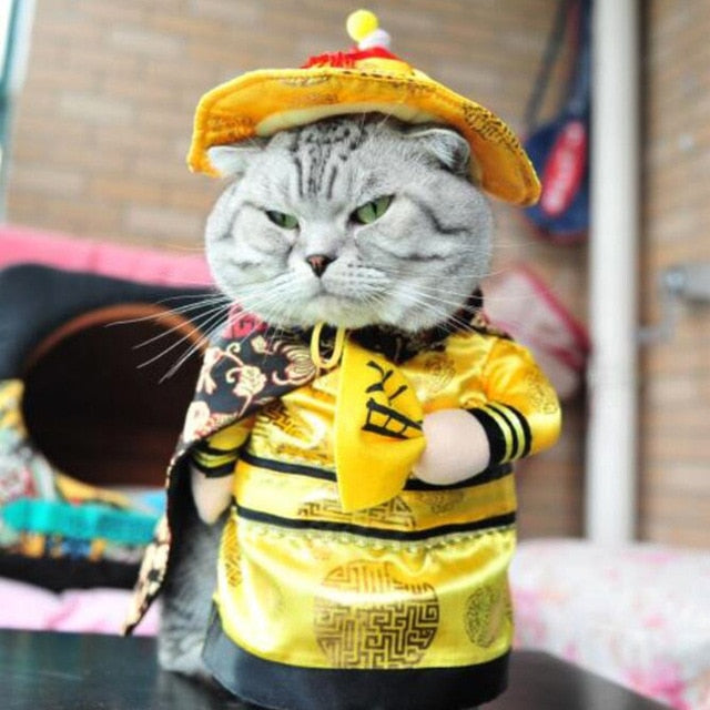 Funny Suit Clothes For Cat