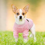 Cute Dog Clothes For Small Dogs