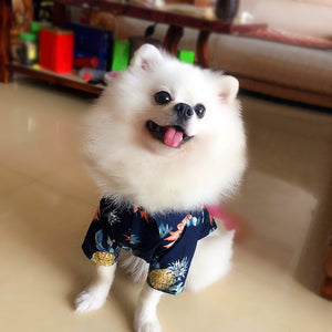 2019 Spring Summer Dog T-Shirt For Dogs Cats